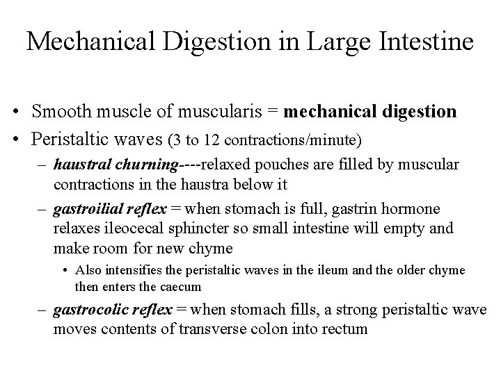 Mechanical Digestion in Large Intestine • Smooth muscle of muscularis = mechanical digestion •