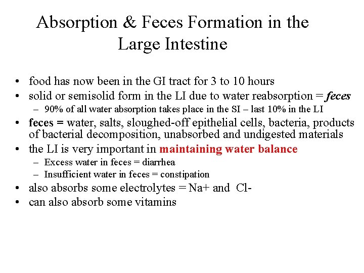 Absorption & Feces Formation in the Large Intestine • food has now been in