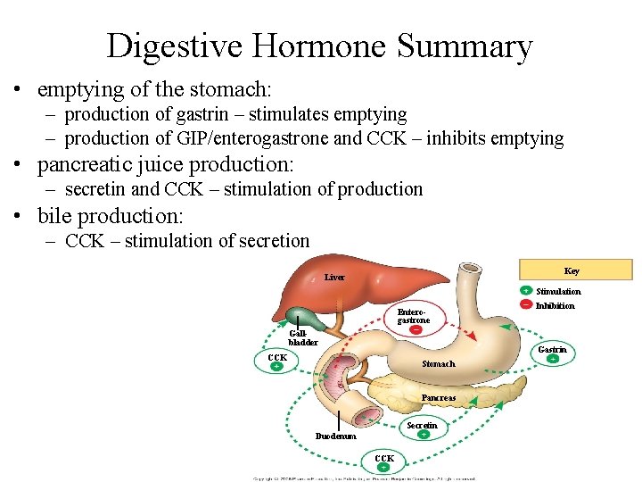 Digestive Hormone Summary • emptying of the stomach: – production of gastrin – stimulates