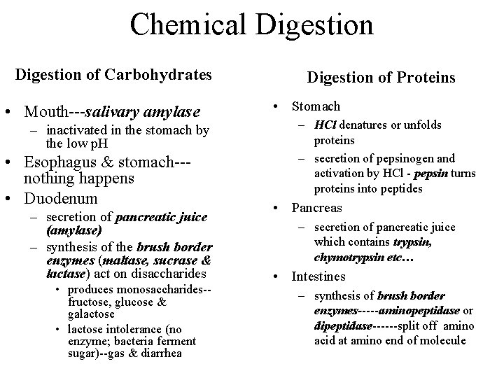 Chemical Digestion of Carbohydrates • Mouth---salivary amylase – inactivated in the stomach by the