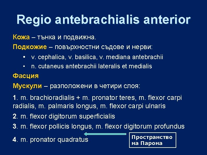 Regio antebrachialis anterior Кожа – тънка и подвижна. Подкожие – повърхностни съдове и нерви: