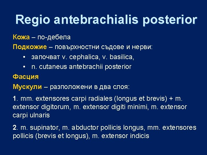 Regio antebrachialis posterior Кожа – по-дебела Подкожие – повърхностни съдове и нерви: • започват