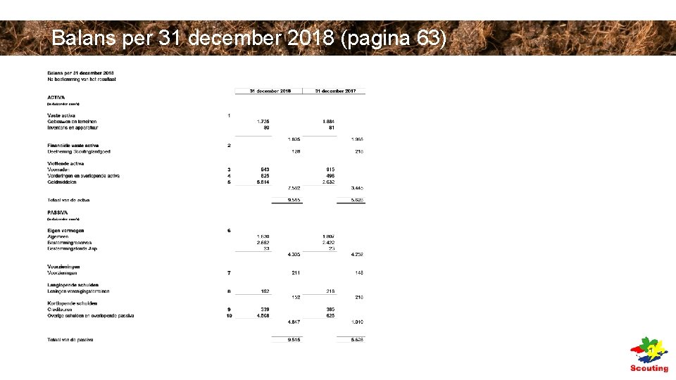 Balans per 31 december 2018 (pagina 63) Balans per 31 december 2018 (pagina 63)