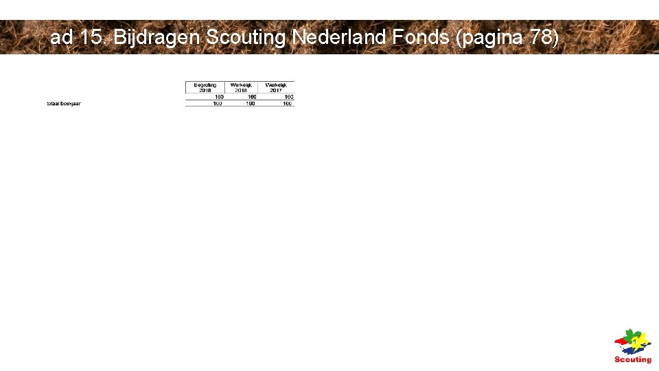 ad 15. Bijdragen Scouting Nederland Fonds (pagina 78) ad 15. Bijdragen Scouting Nederland Fonds (pagina 78)