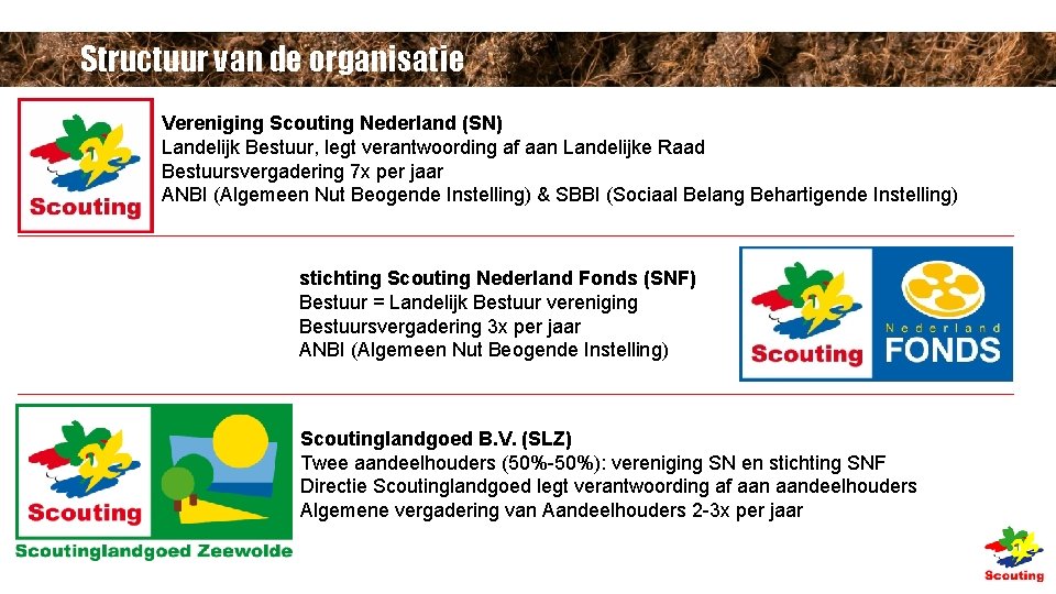 Structuur van de organisatie Vereniging Scouting Nederland (SN) Landelijk Bestuur, legt verantwoording af aan Structuur van de organisatie Vereniging Scouting Nederland (SN) Landelijk Bestuur, legt verantwoording af aan