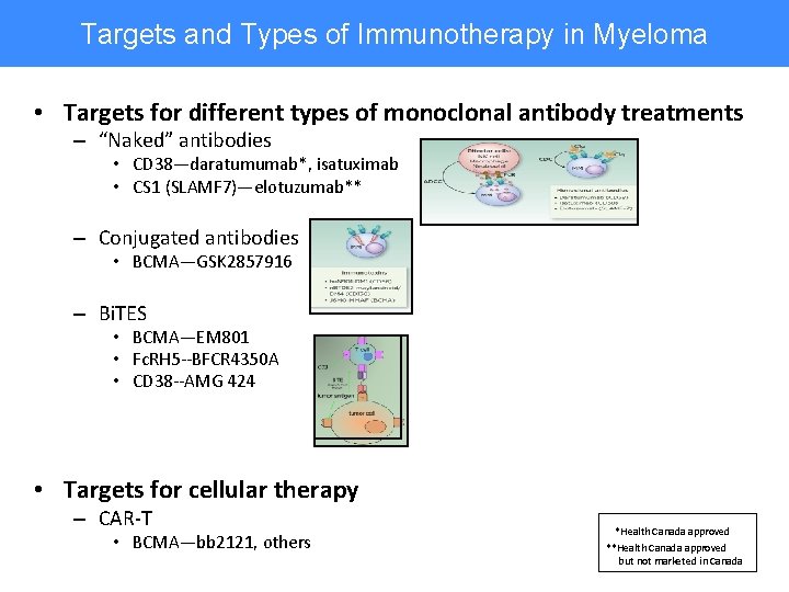 Targets and Types of Immunotherapy in Myeloma • Targets for different types of monoclonal