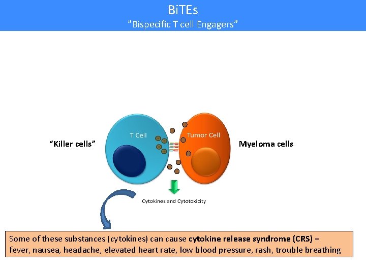 Bi. TEs ”Bispecific T cell Engagers” “Killer cells” Myeloma cells Some of these substances