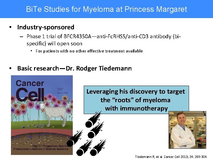 Bi. Te Studies for Myeloma at Princess Margaret • Industry-sponsored – Phase 1 trial