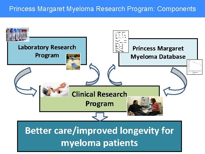 Princess Margaret Myeloma Research Program: Components Laboratory Research Program Percentiles Smallest 1% 31 5%