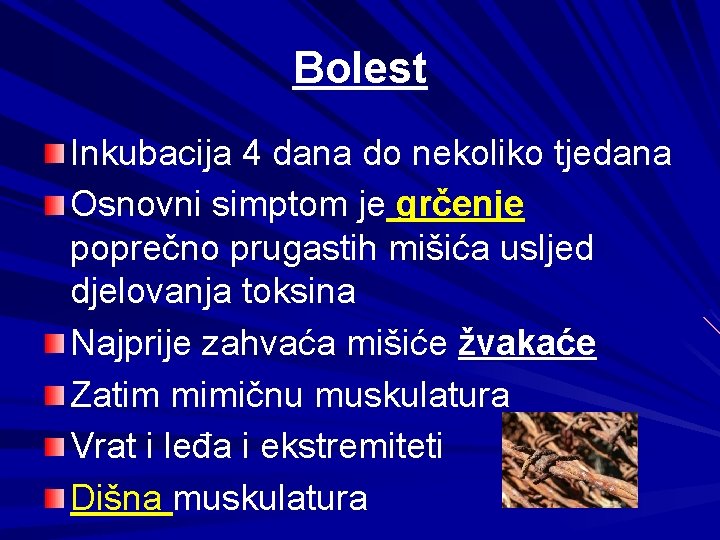 Bolest Inkubacija 4 dana do nekoliko tjedana Osnovni simptom je grčenje poprečno prugastih mišića