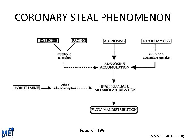 CORONARY STEAL PHENOMENON Picano, Circ 1998 www. metcardio. org 