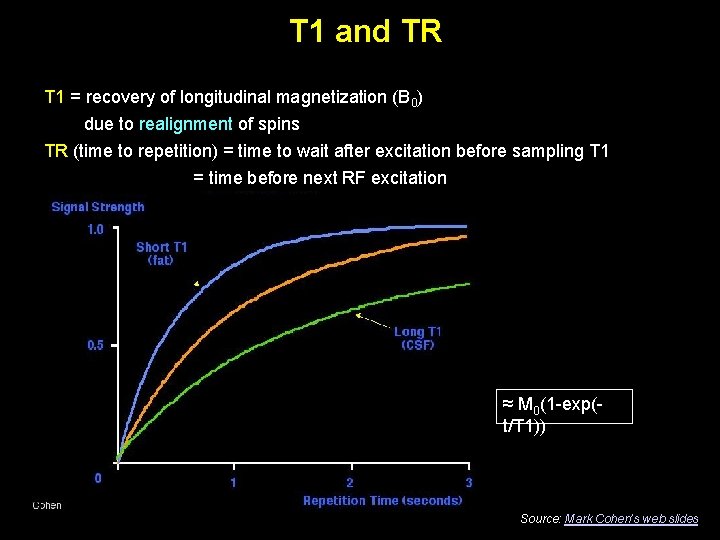 T 1 and TR T 1 = recovery of longitudinal magnetization (B 0) due