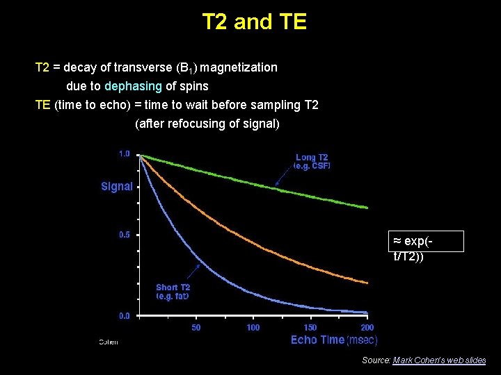 T 2 and TE T 2 = decay of transverse (B 1) magnetization due