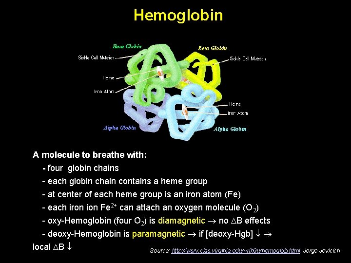 Hemoglobin A molecule to breathe with: - four globin chains - each globin chain