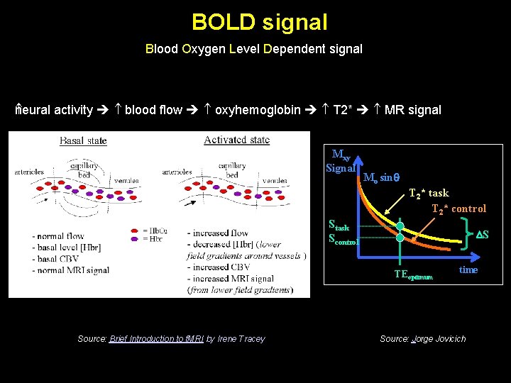 BOLD signal Blood Oxygen Level Dependent signal neural activity blood flow oxyhemoglobin T 2*