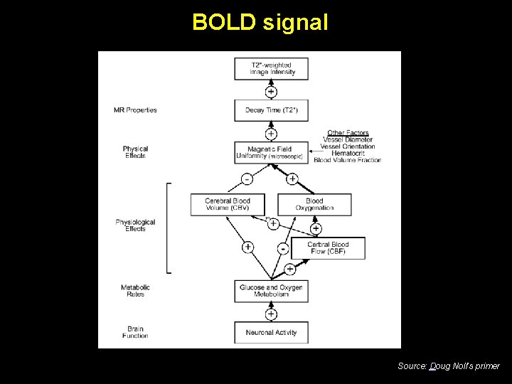 BOLD signal Source: Doug Noll’s primer 