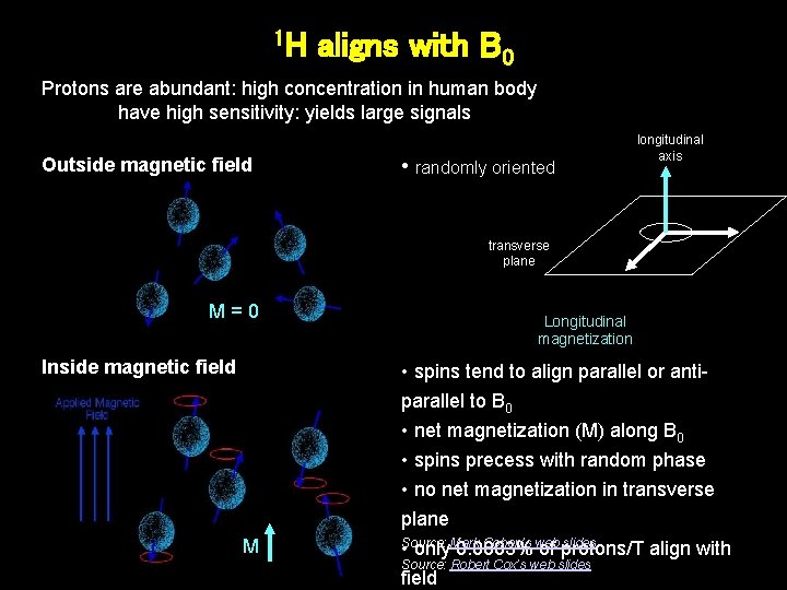 1 H aligns with B 0 Protons are abundant: high concentration in human body