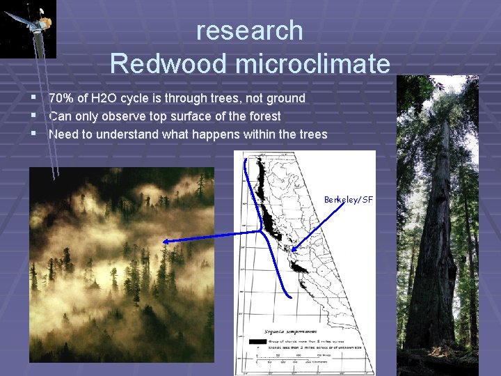 research Redwood microclimate § 70% of H 2 O cycle is through trees, not