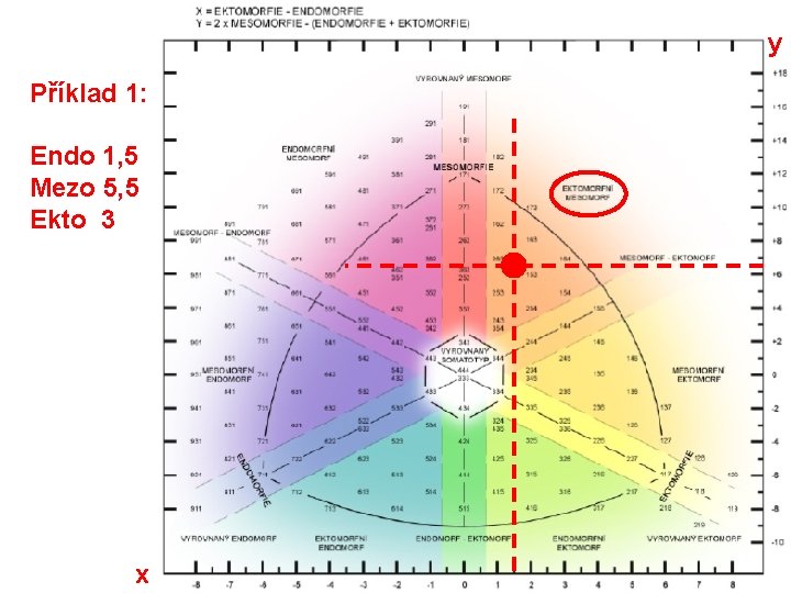 y Příklad 1: Endo 1, 5 Mezo 5, 5 Ekto 3 x 