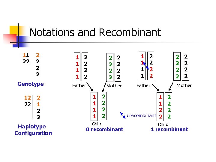 Notations and Recombinant 11 22 2 2 Genotype 12 22 2 1 2 2