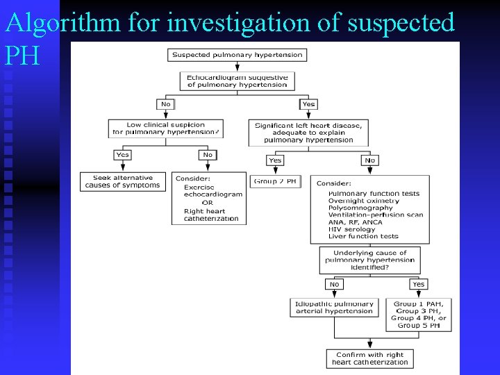 Algorithm for investigation of suspected PH 