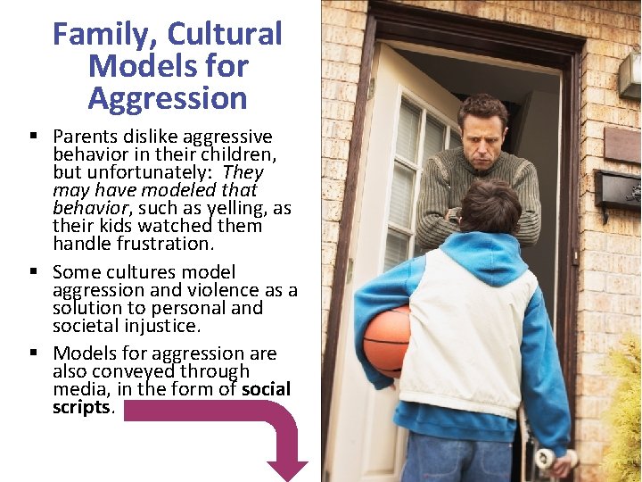Family, Cultural Models for Aggression § Parents dislike aggressive behavior in their children, but
