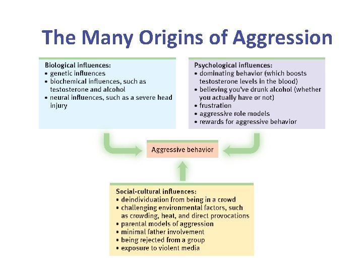 The Many Origins of Aggression 
