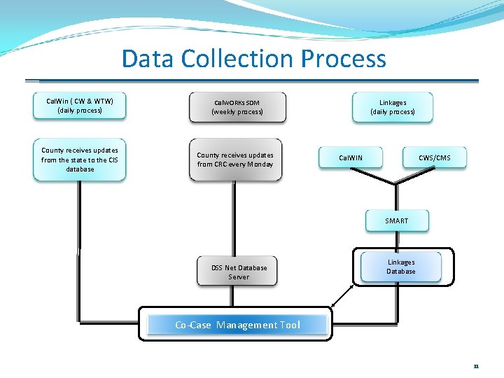 Data Collection Process Cal. Win ( CW & WTW) (daily process) County receives updates