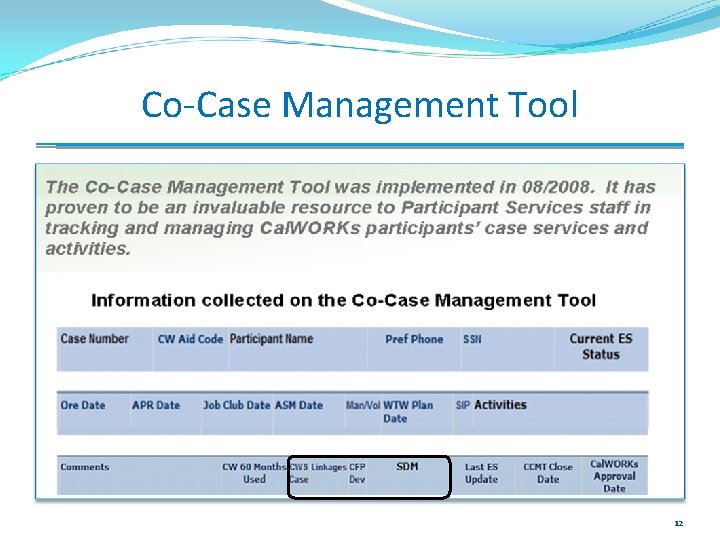 Co-Case Management Tool 12 