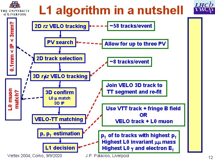 0. 1 mm < IP < 3 mm? L 1 algorithm in a nutshell