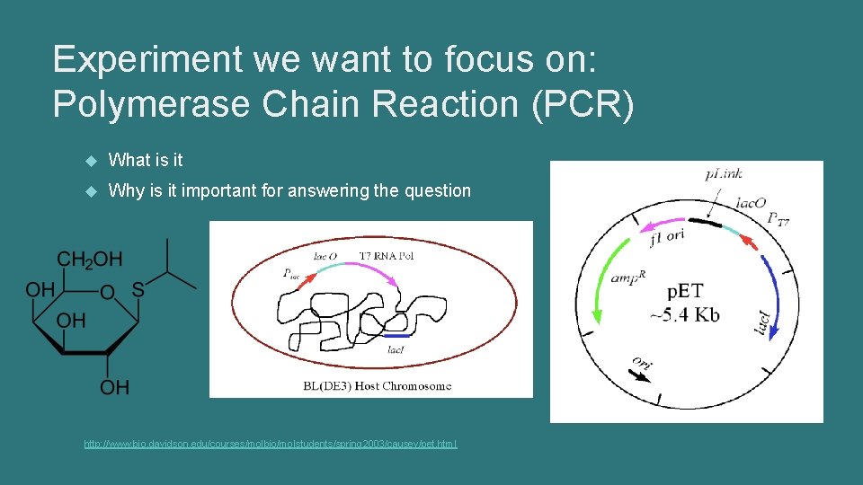 Experiment we want to focus on: Polymerase Chain Reaction (PCR) What is it Why