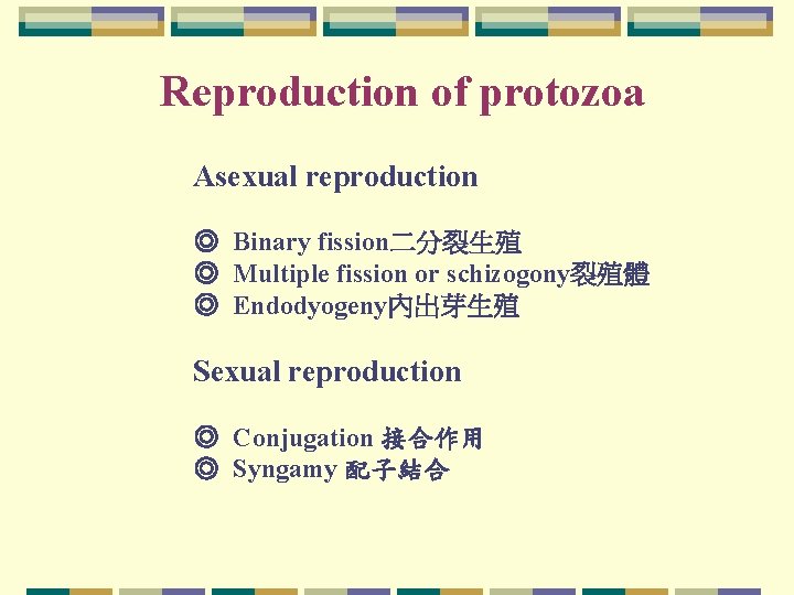 Reproduction of protozoa Asexual reproduction ◎ Binary fission二分裂生殖 ◎ Multiple fission or schizogony裂殖體 ◎