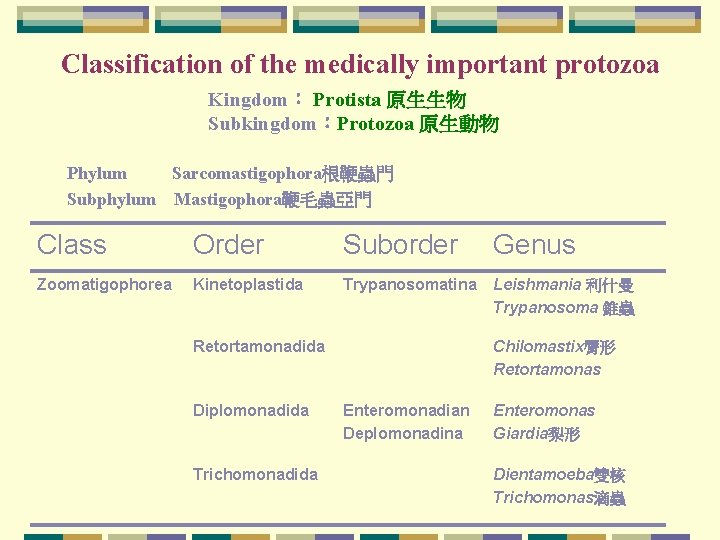 Classification of the medically important protozoa Kingdom： Protista 原生生物 Subkingdom：Protozoa 原生動物 Phylum Sarcomastigophora根鞭蟲門 Subphylum