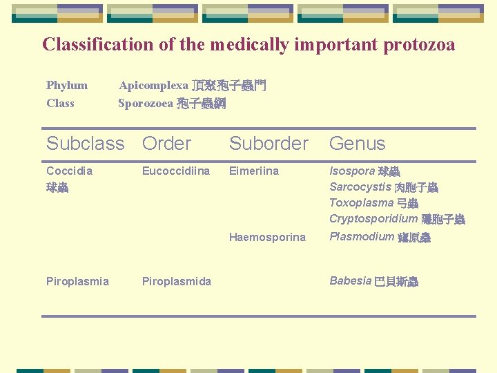 Classification of the medically important protozoa Phylum Class Apicomplexa 頂聚孢子蟲門 Sporozoea 孢子蟲綱 Subclass Order