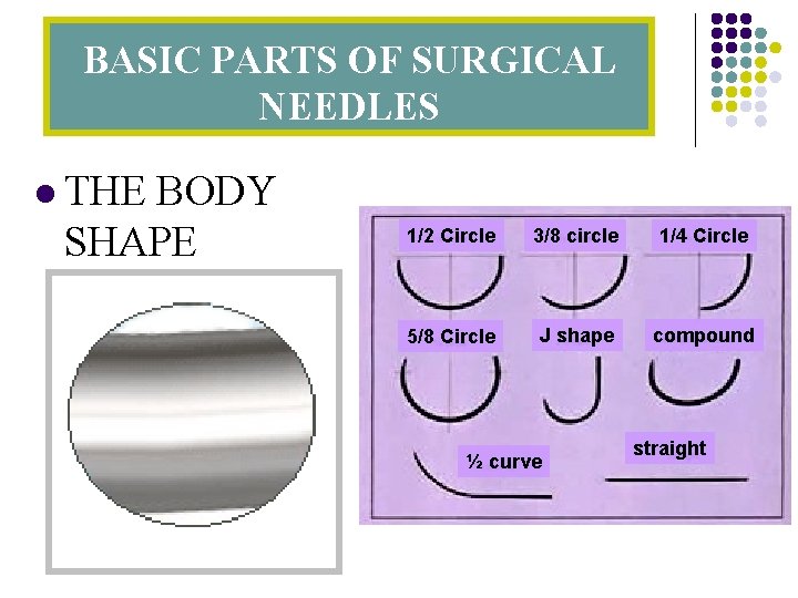 BASIC PARTS OF SURGICAL NEEDLES l THE BODY SHAPE 1/2 Circle 3/8 circle 1/4