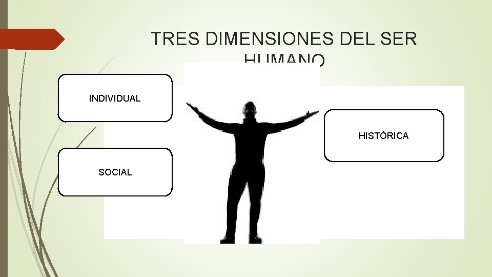 TRES DIMENSIONES DEL SER HUMANO INDIVIDUAL HISTÓRICA SOCIAL 