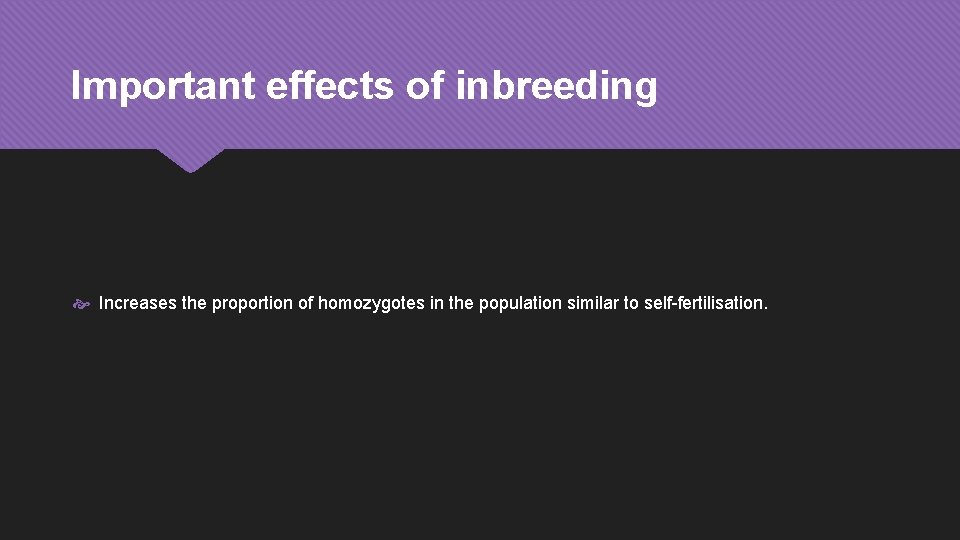 Important effects of inbreeding Increases the proportion of homozygotes in the population similar to