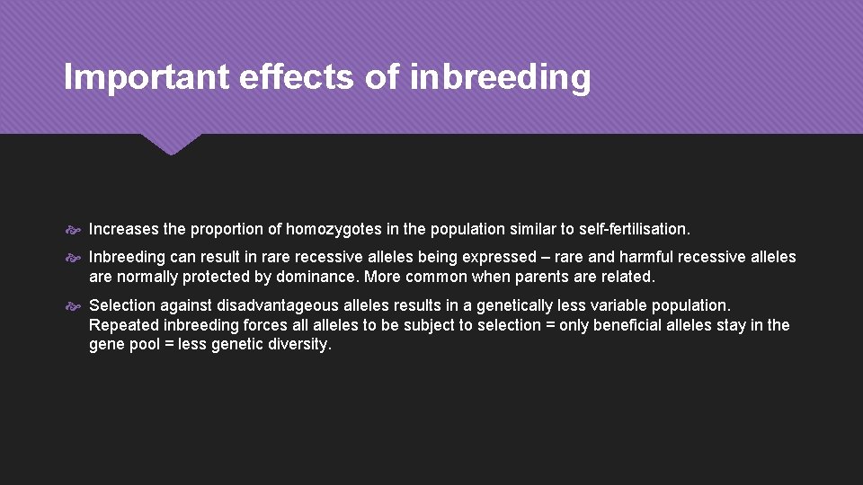 Important effects of inbreeding Increases the proportion of homozygotes in the population similar to