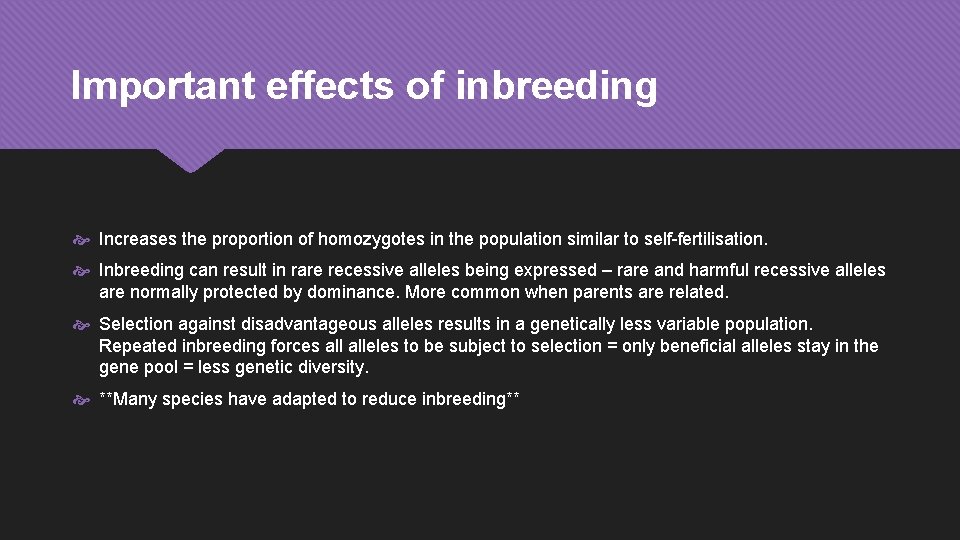 Important effects of inbreeding Increases the proportion of homozygotes in the population similar to