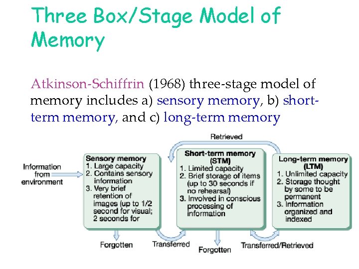 Three Box/Stage Model of Memory Atkinson-Schiffrin (1968) three-stage model of memory includes a) sensory