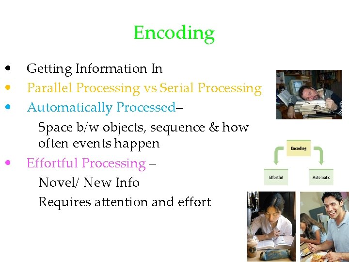 Encoding • • Getting Information In Parallel Processing vs Serial Processing Automatically Processed– Space