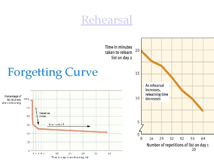 Rehearsal Forgetting Curve 20 