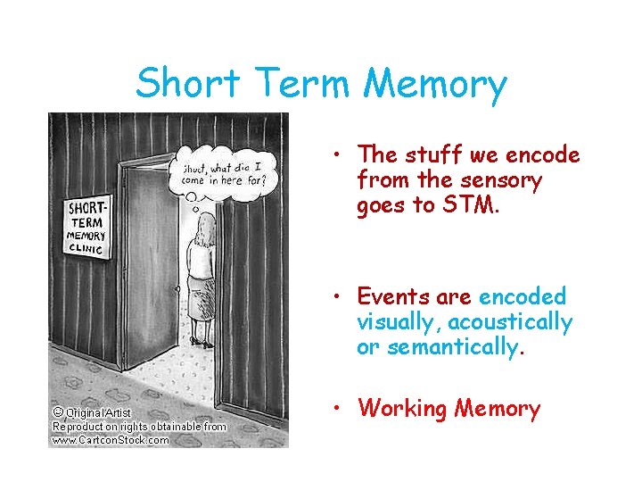 Short Term Memory • The stuff we encode from the sensory goes to STM.