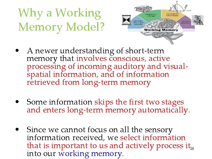 Why a Working Memory Model? • A newer understanding of short-term memory that involves