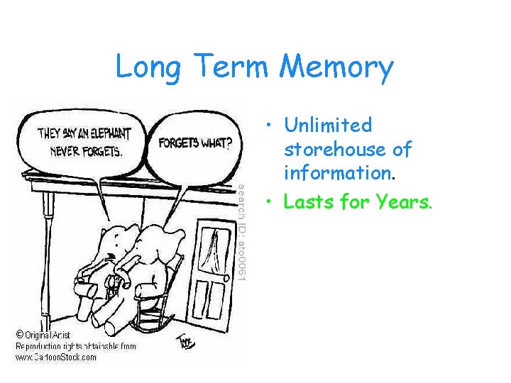 Long Term Memory • Unlimited storehouse of information. • Lasts for Years. 