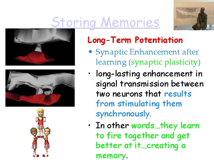 Storing Memories Long-Term Potentiation • Synaptic Enhancement after learning (synaptic plasticity) • long-lasting enhancement