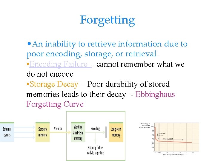 Forgetting • An inability to retrieve information due to poor encoding, storage, or retrieval.