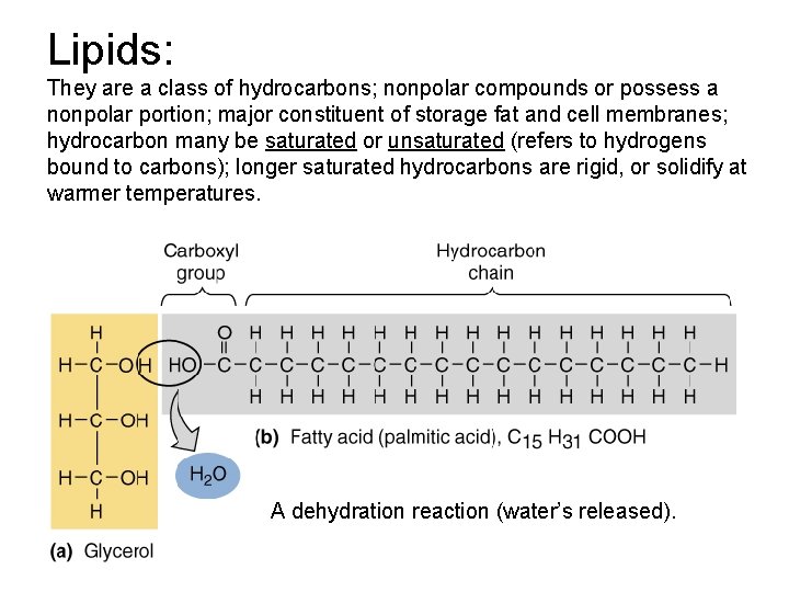 Lipids: They are a class of hydrocarbons; nonpolar compounds or possess a nonpolar portion;