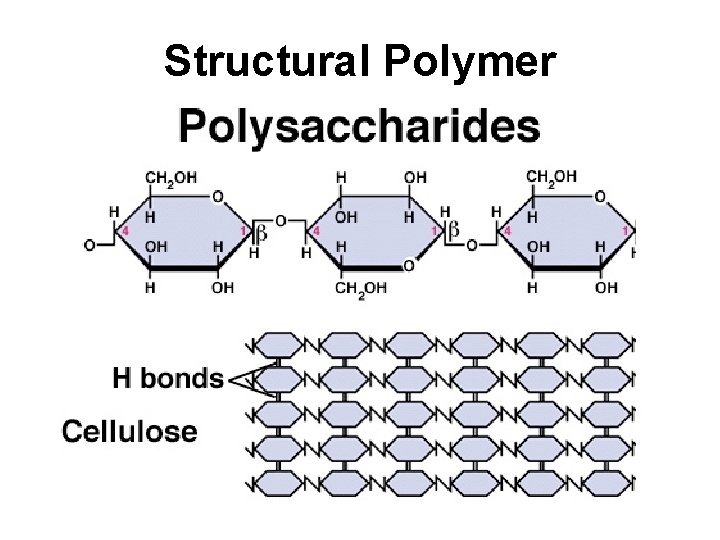 Structural Polymer 