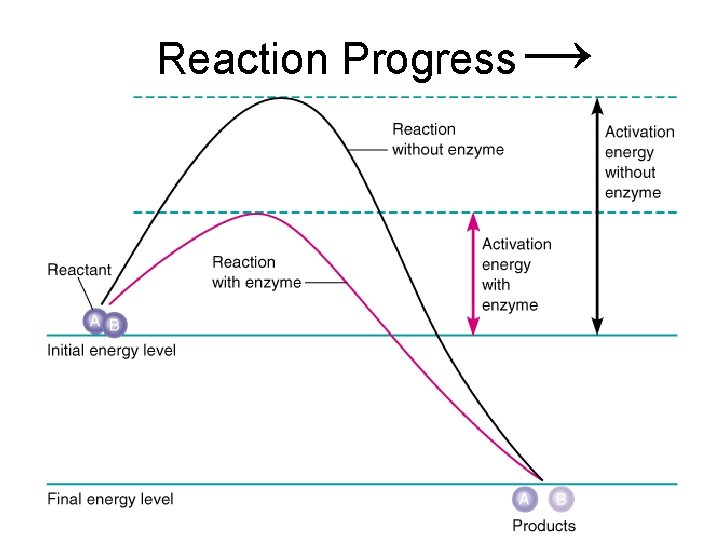 Reaction Progress → 